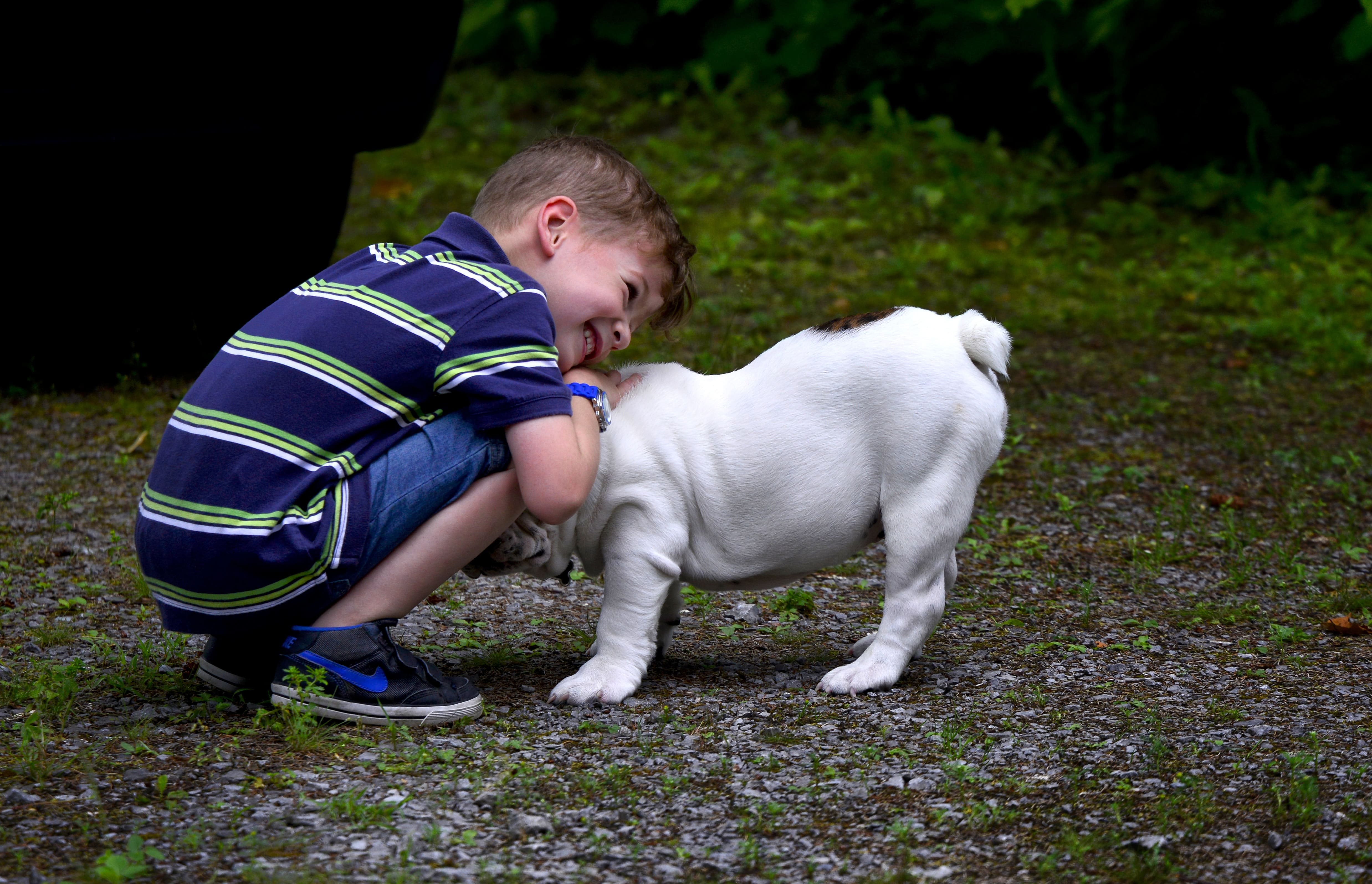 boy puppy dog pet mammal
